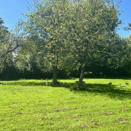 Adorable Two Bed Norfolk Broads Holiday Home - River Views With Moorings & Fishing Stalham Esterno foto