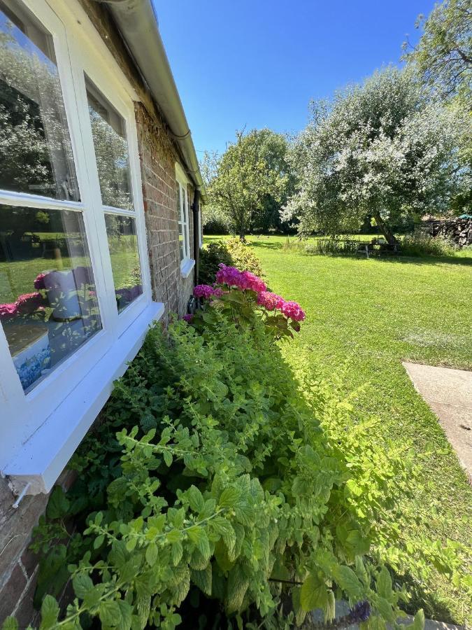 Adorable Two Bed Norfolk Broads Holiday Home - River Views With Moorings & Fishing Stalham Esterno foto